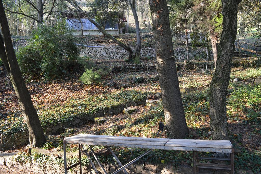 Casa Marta : Suites, Terrasses Et Vue Panoramique Tournon-sur-Rhone Kültér fotó